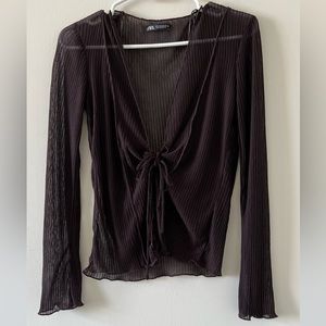Zara Brown Plisse Long Sleeve in Size Small